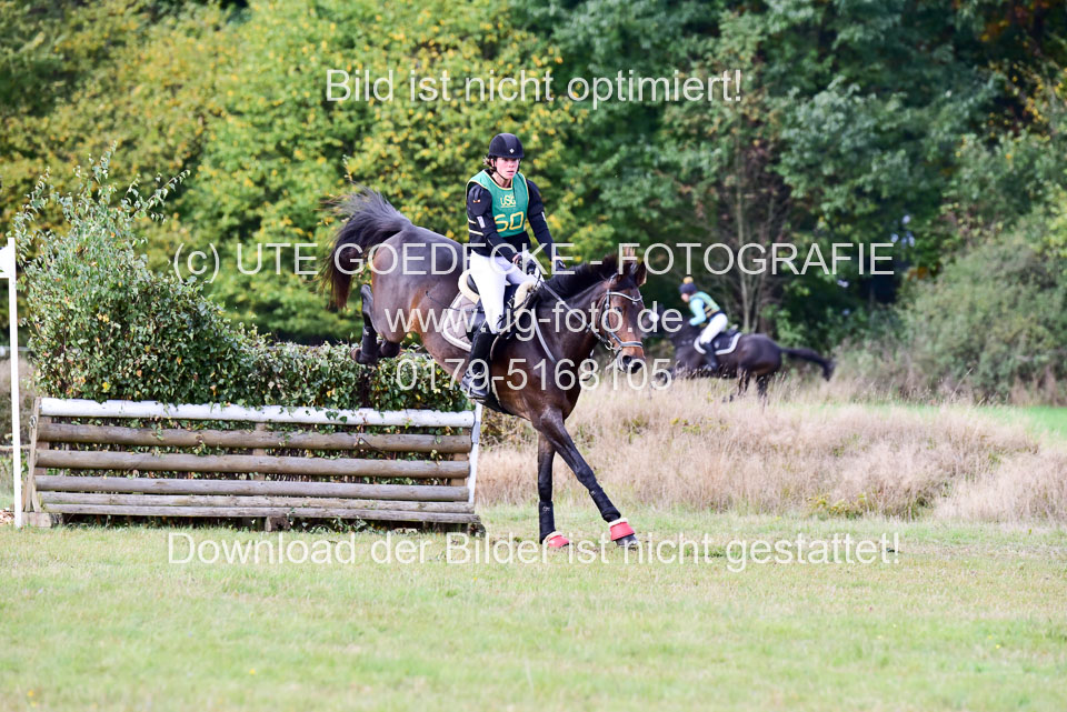 111020---Gelände-A-525.jpg