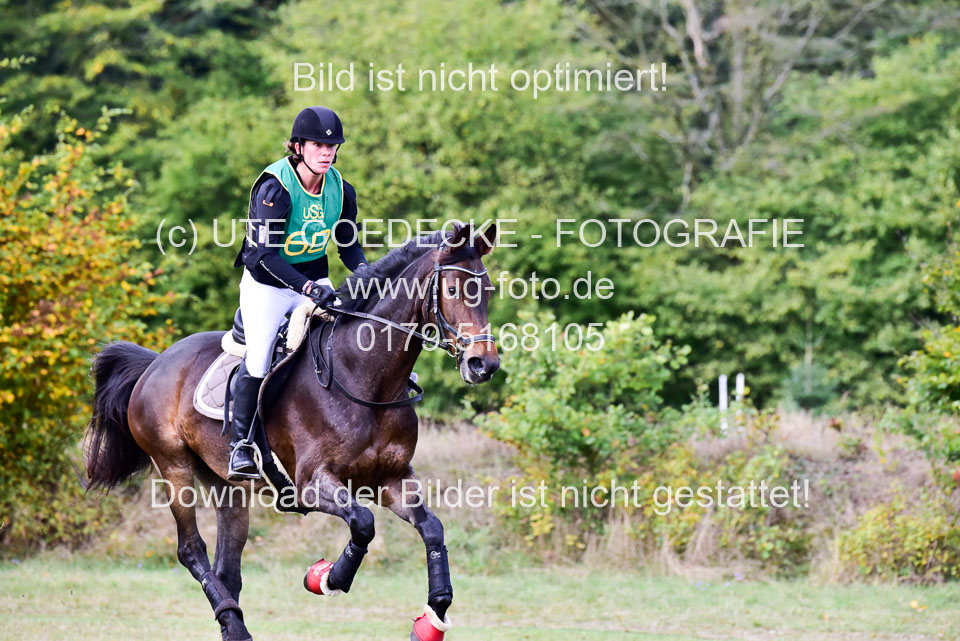 111020---Gelände-A-529.jpg