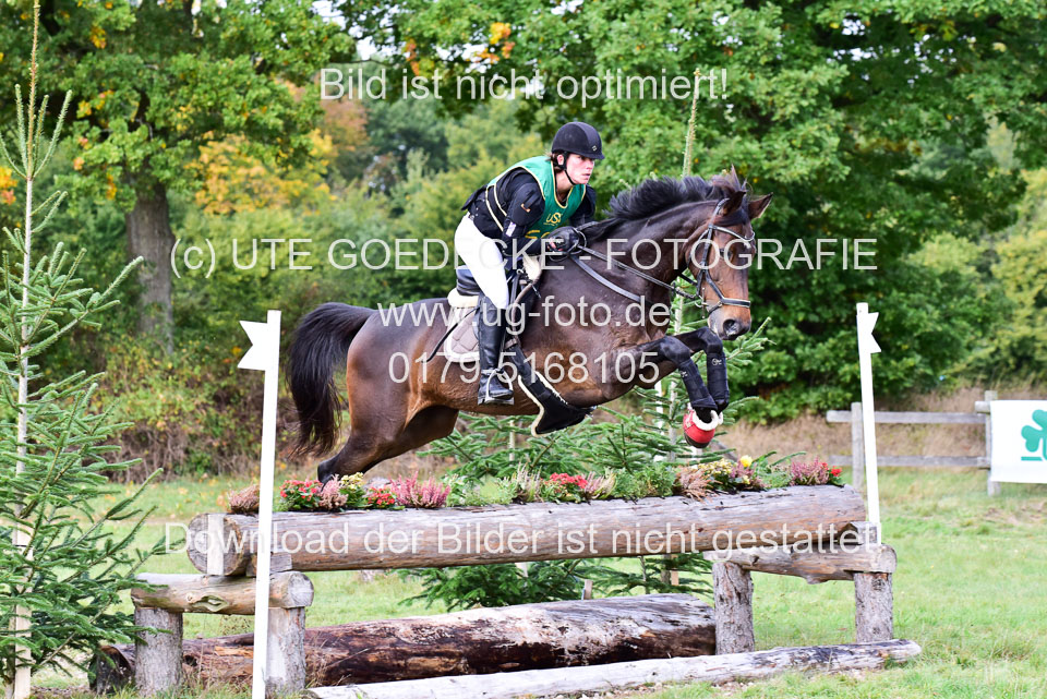 111020---Gelände-A-531.jpg