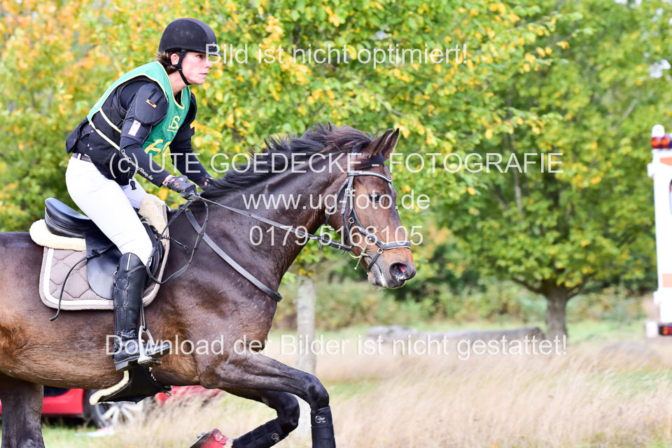 111020---Gelände-A-533.jpg