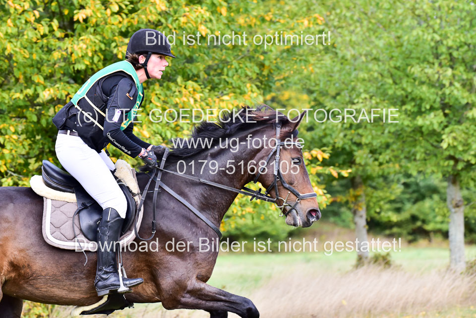 111020---Gelände-A-534.jpg