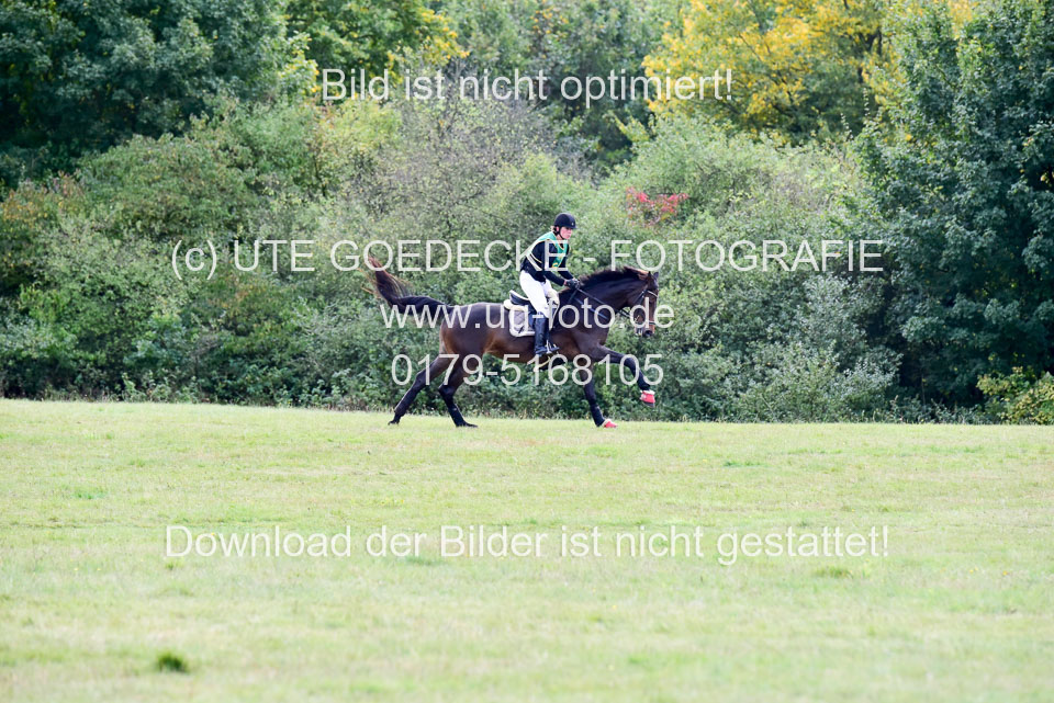 111020---Gelände-A-539.jpg