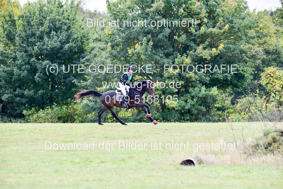 111020---Gelände-A-540.jpg
