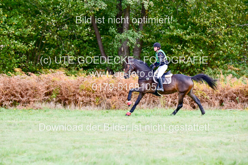 111020---Gelände-A-541.jpg