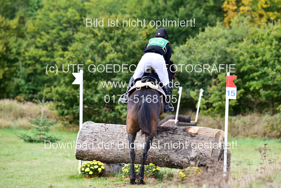 111020---Gelände-A-547.jpg