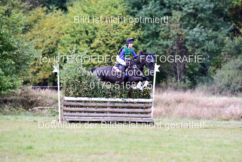 111020---Gelände-A-550.jpg