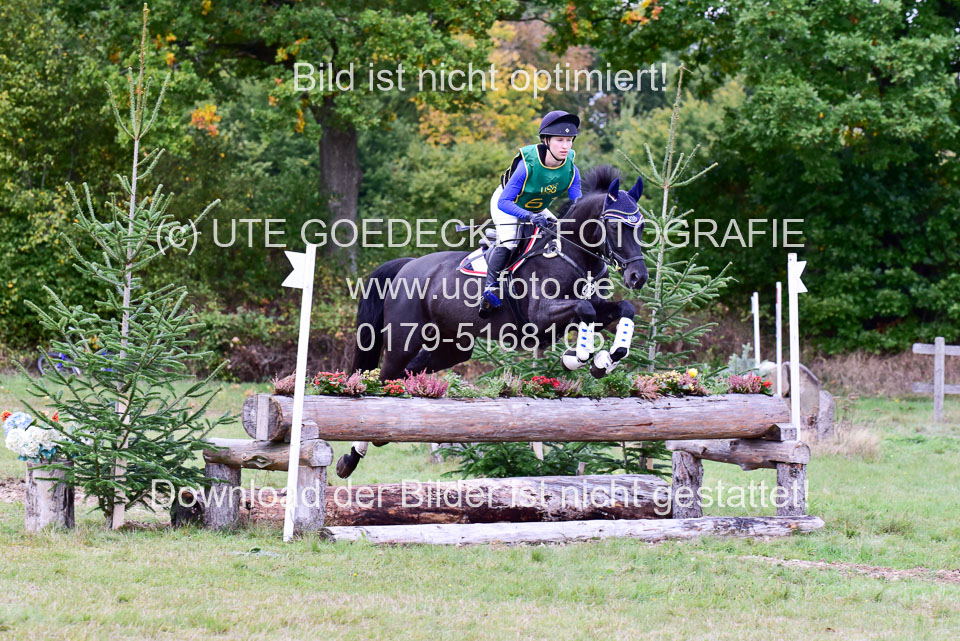 111020---Gelände-A-551.jpg