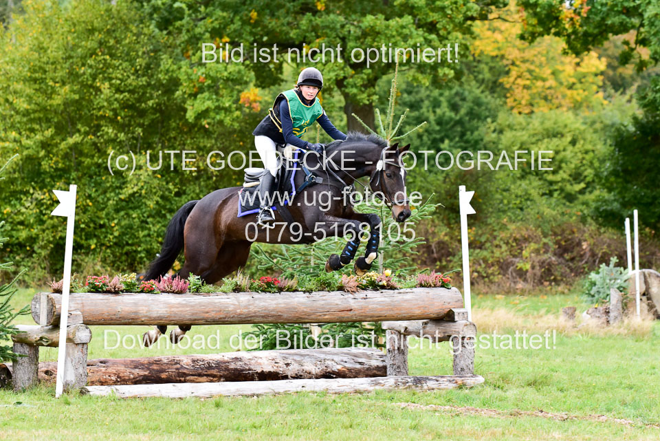111020---Gelände-A-559.jpg