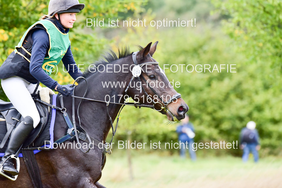111020---Gelände-A-561.jpg