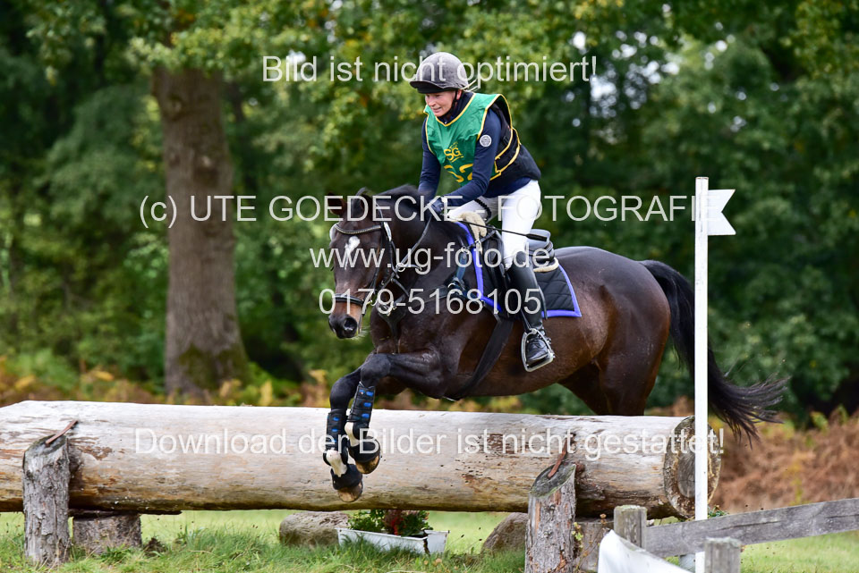 111020---Gelände-A-564.jpg