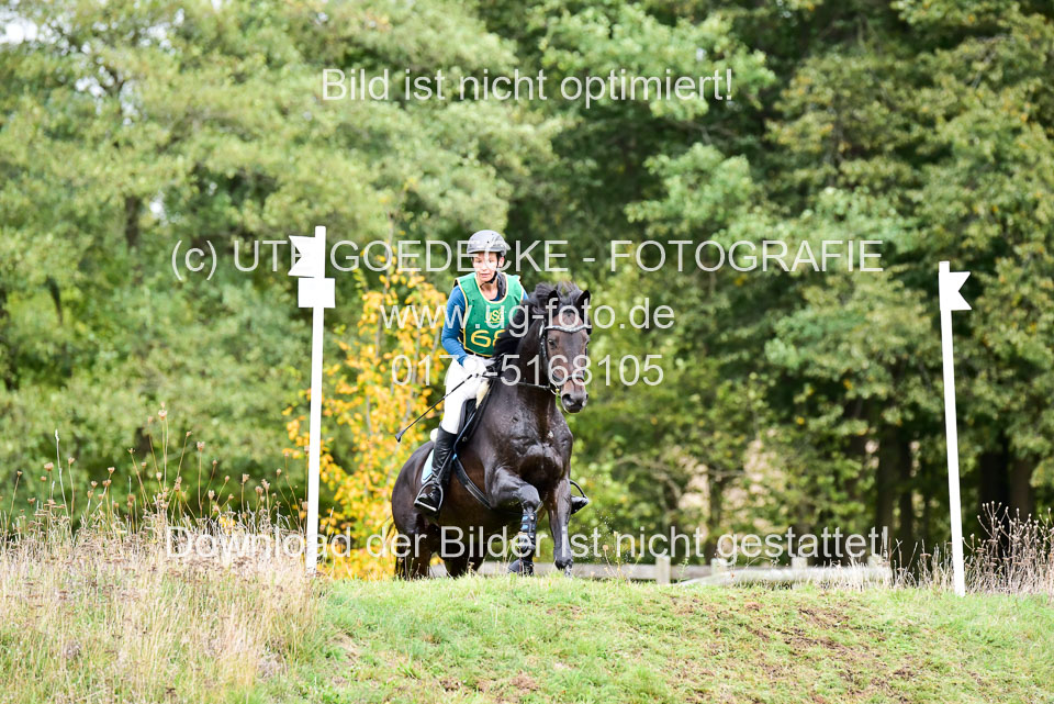 111020---Gelände-A-592.jpg