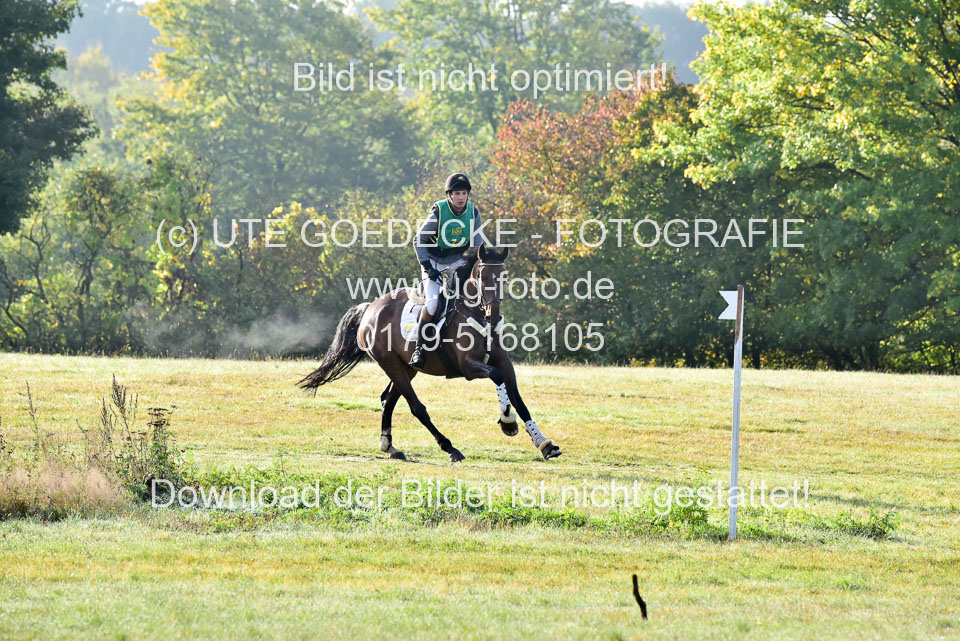 111020---Gelände-A-6.jpg
