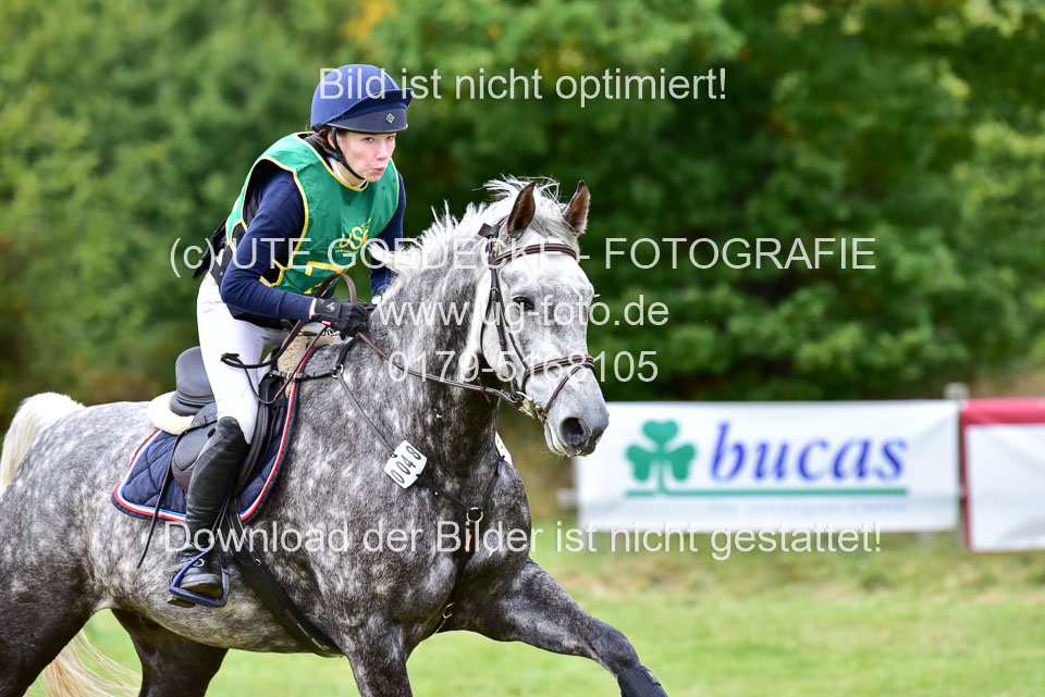 111020---Gelände-A-607.jpg
