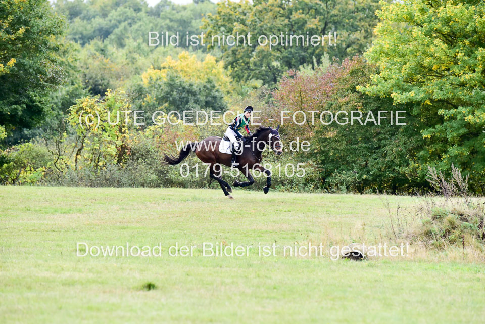 111020---Gelände-A-681.jpg