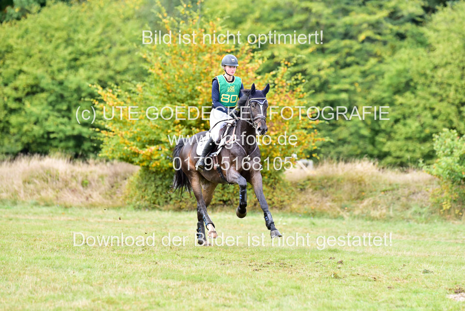 111020---Gelände-A-687.jpg