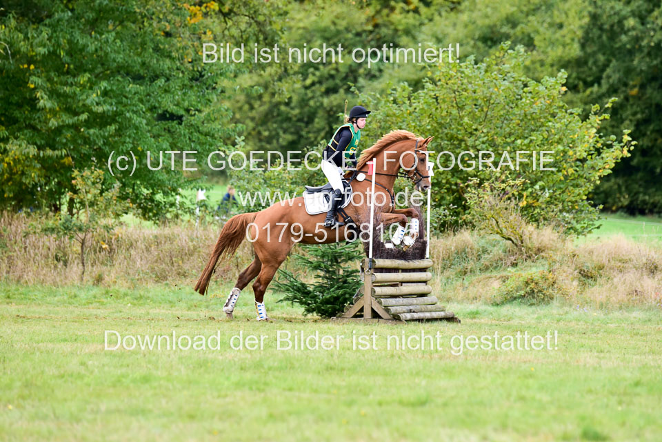 111020---Gelände-A-696.jpg
