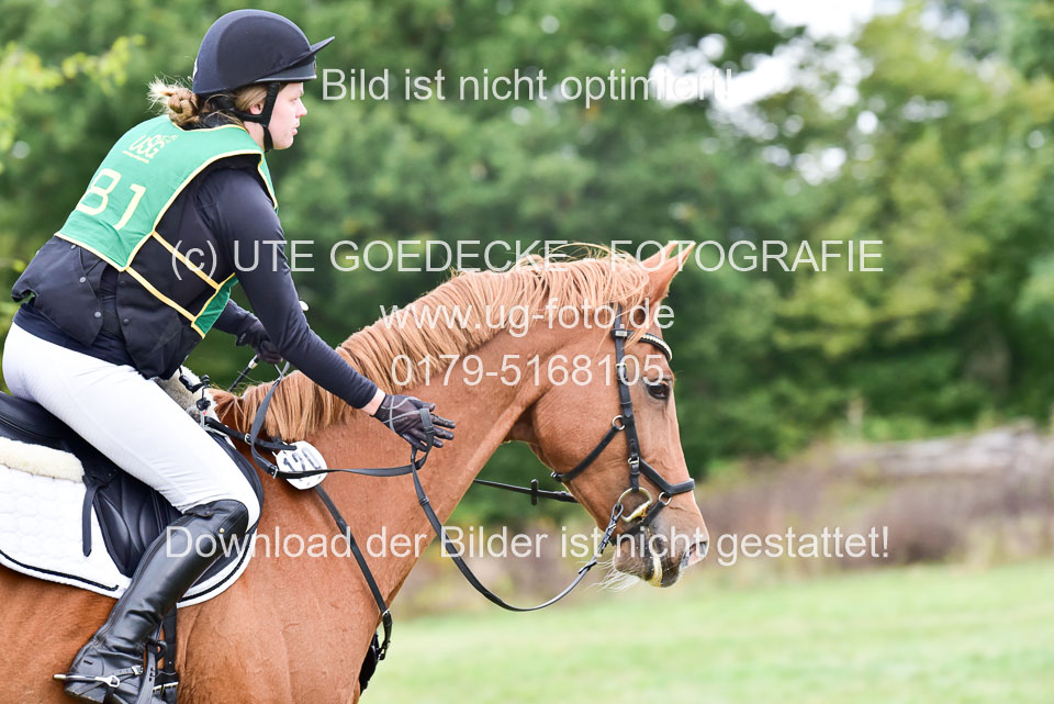 111020---Gelände-A-702.jpg