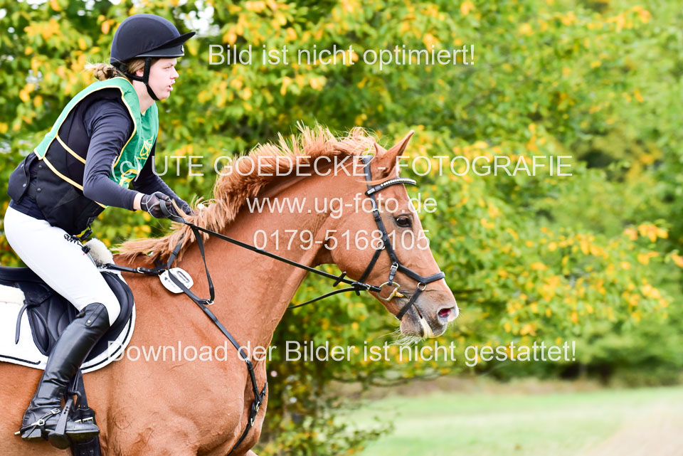 111020---Gelände-A-703.jpg