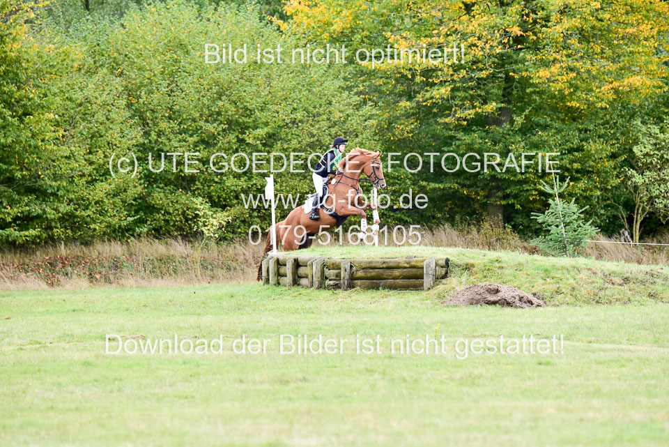 111020---Gelände-A-704.jpg