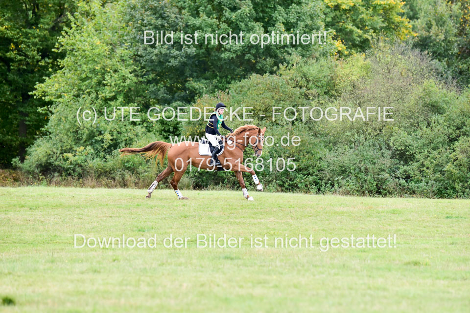 111020---Gelände-A-706.jpg