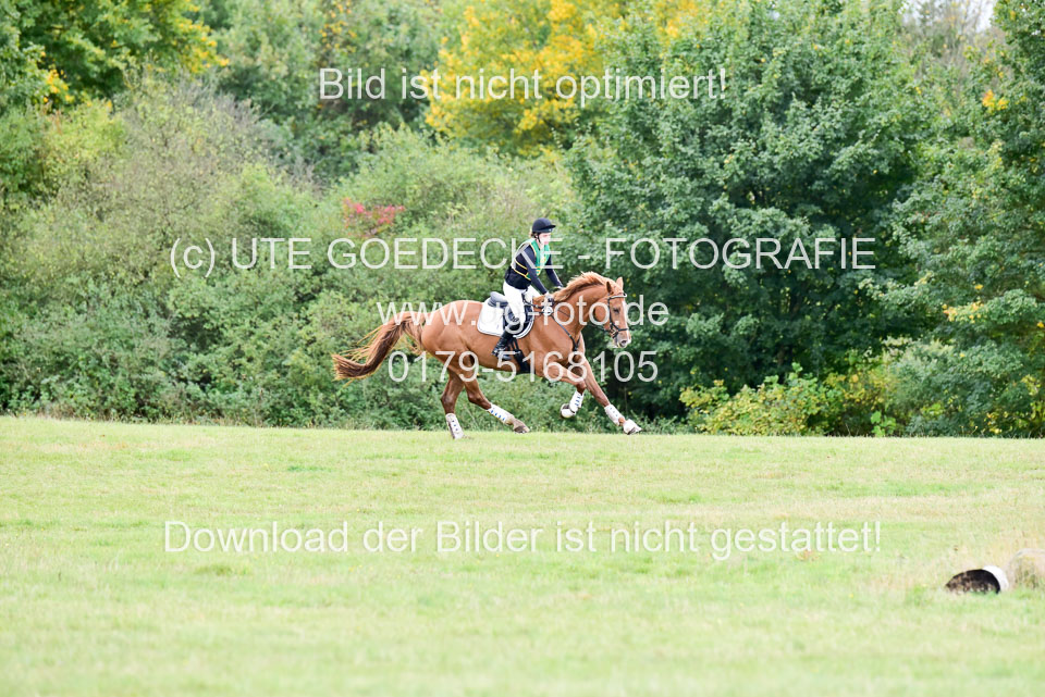 111020---Gelände-A-707.jpg