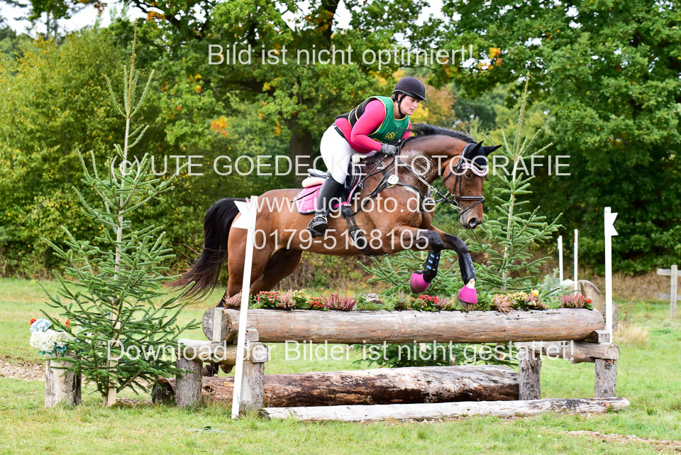 111020---Gelände-A-723.jpg