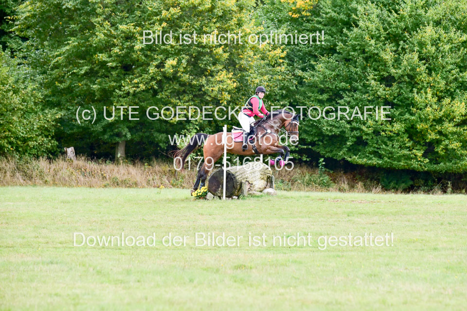 111020---Gelände-A-724.jpg