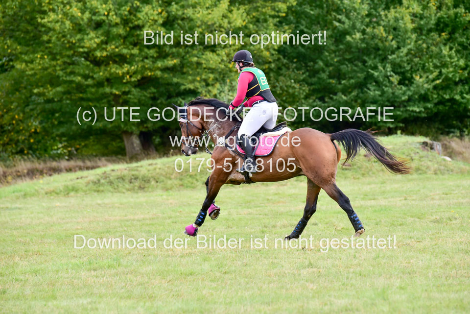 111020---Gelände-A-725.jpg