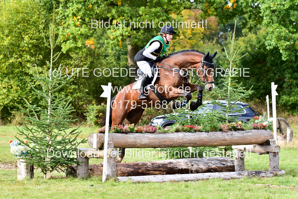 111020---Gelände-A-730.jpg