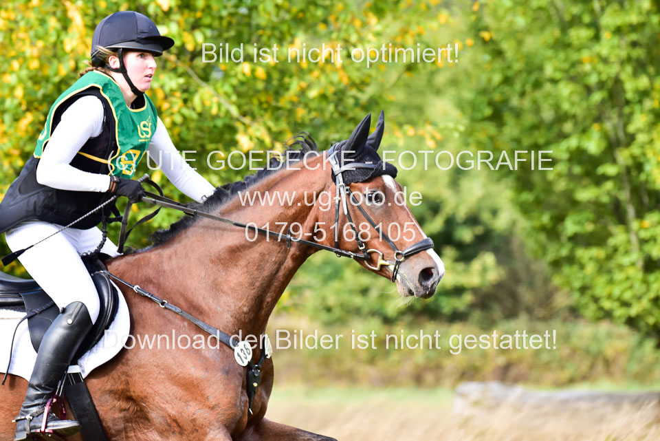 111020---Gelände-A-733.jpg