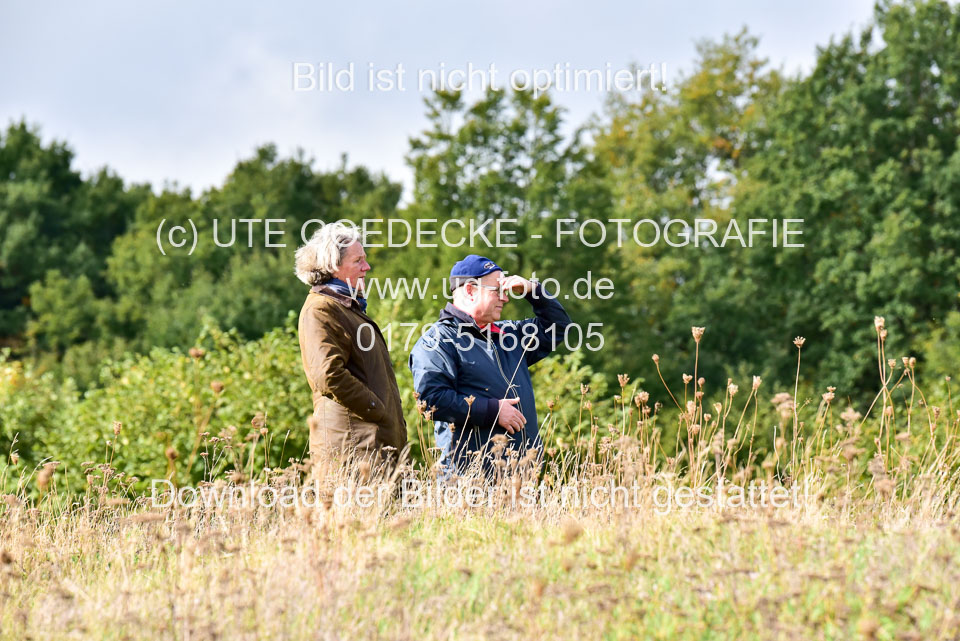 111020---Gelände-A-735.jpg