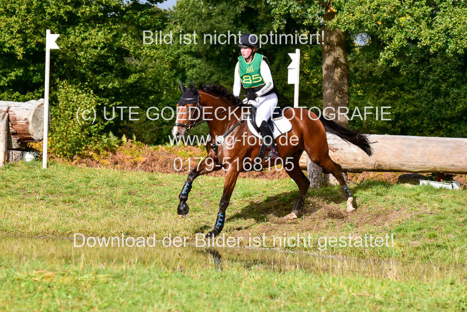 111020---Gelände-A-737.jpg