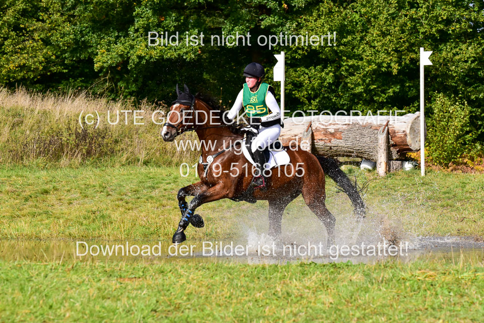 111020---Gelände-A-739.jpg