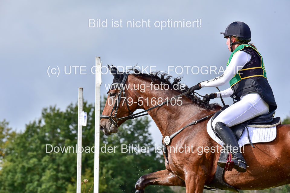 111020---Gelände-A-740.jpg