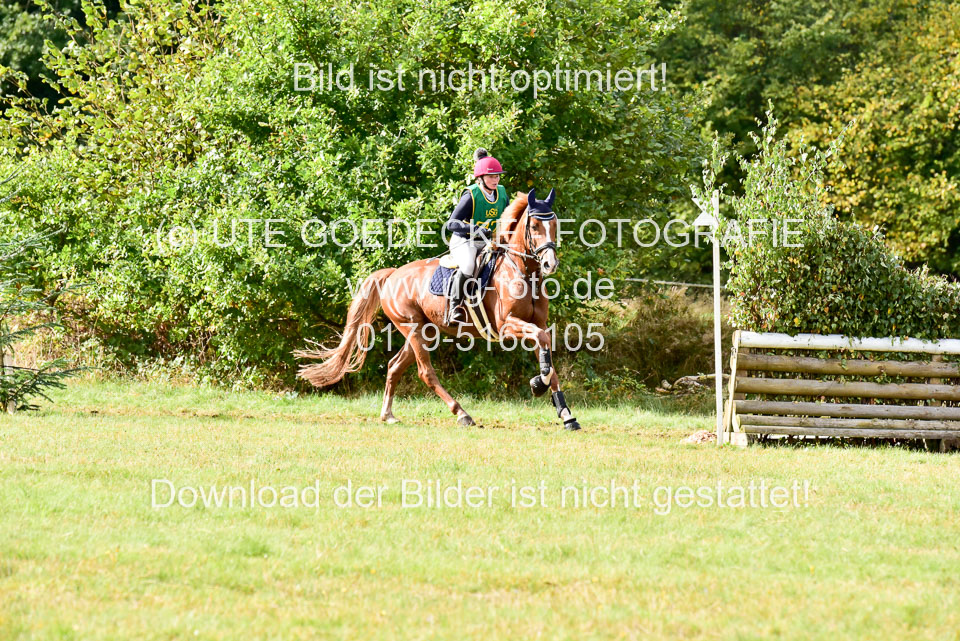 111020---Gelände-A-742.jpg