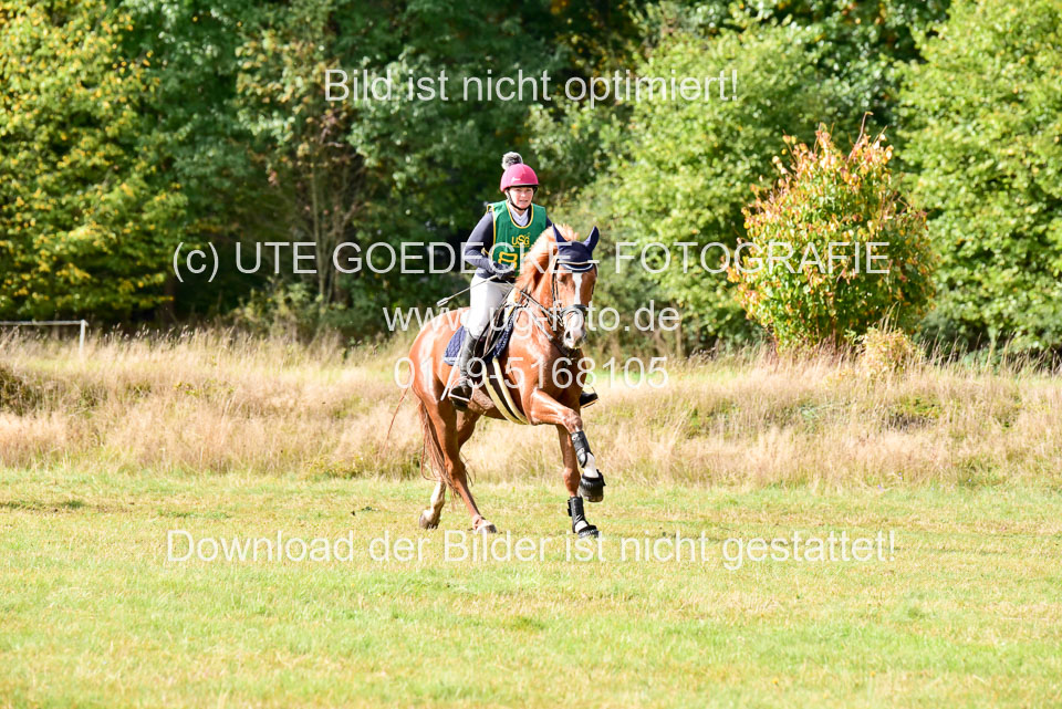 111020---Gelände-A-744.jpg