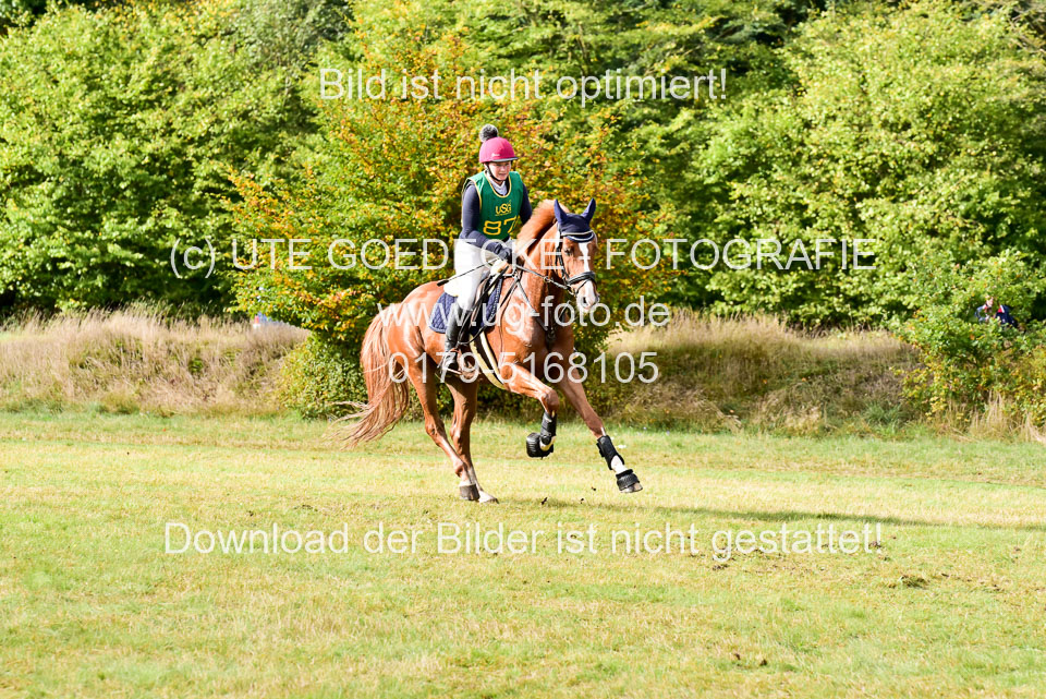111020---Gelände-A-746.jpg