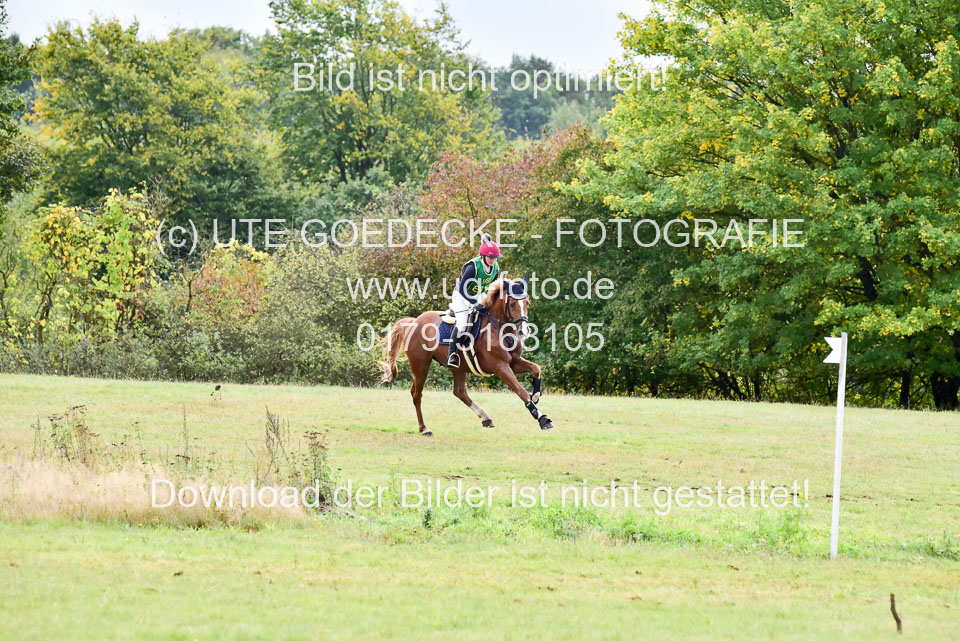 111020---Gelände-A-751.jpg