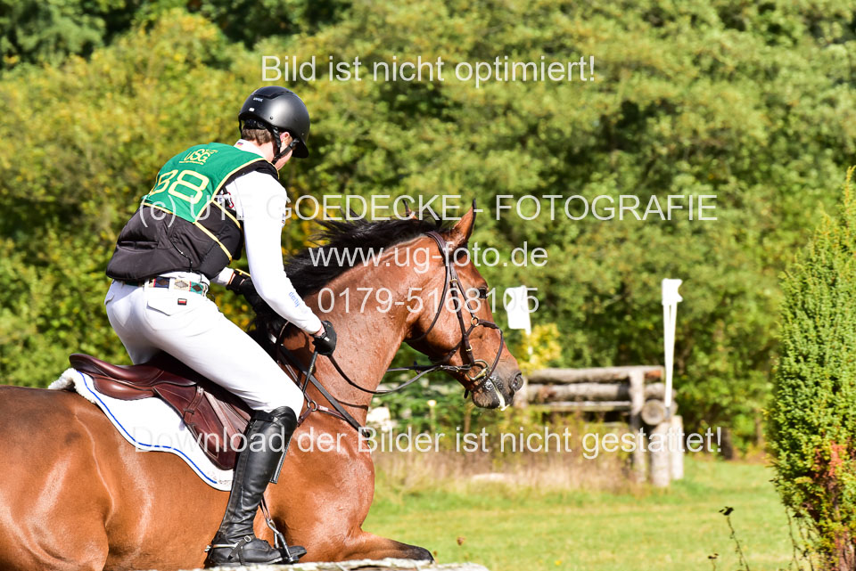 111020---Gelände-A-760.jpg