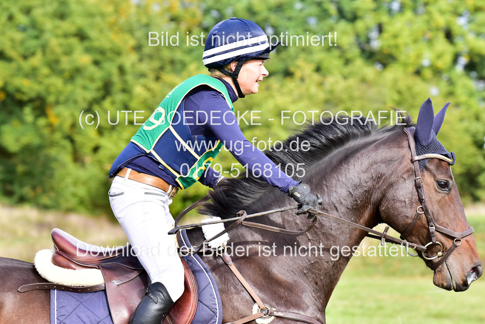 111020---Gelände-A-778.jpg