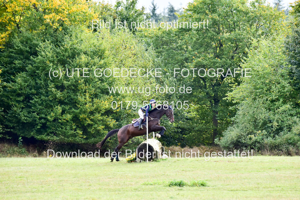 111020---Gelände-A-780.jpg