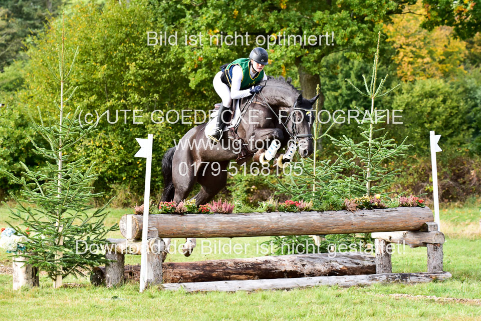 111020---Gelände-A-786.jpg