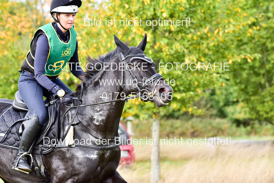 111020---Gelände-A-795.jpg