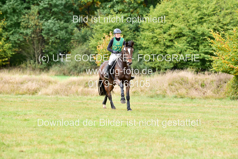111020---Gelände-A-823.jpg