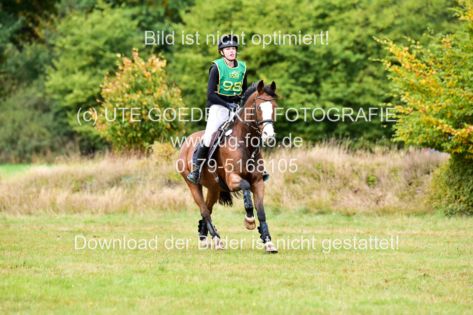 111020---Gelände-A-830.jpg