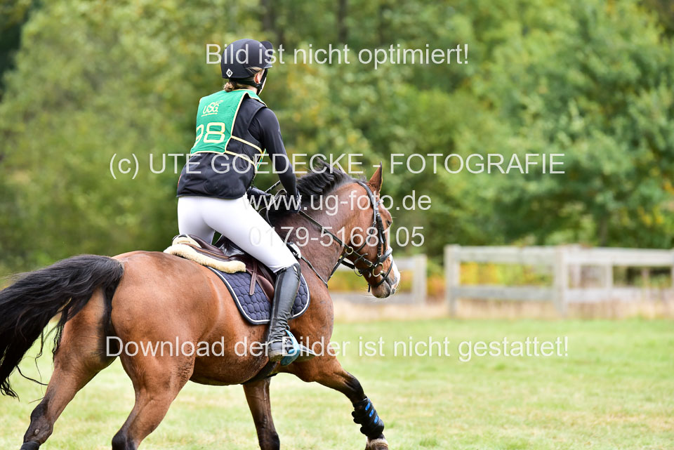 111020---Gelände-A-831.jpg