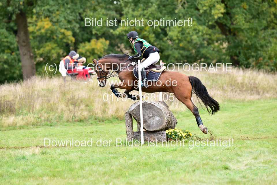 111020---Gelände-A-833.jpg