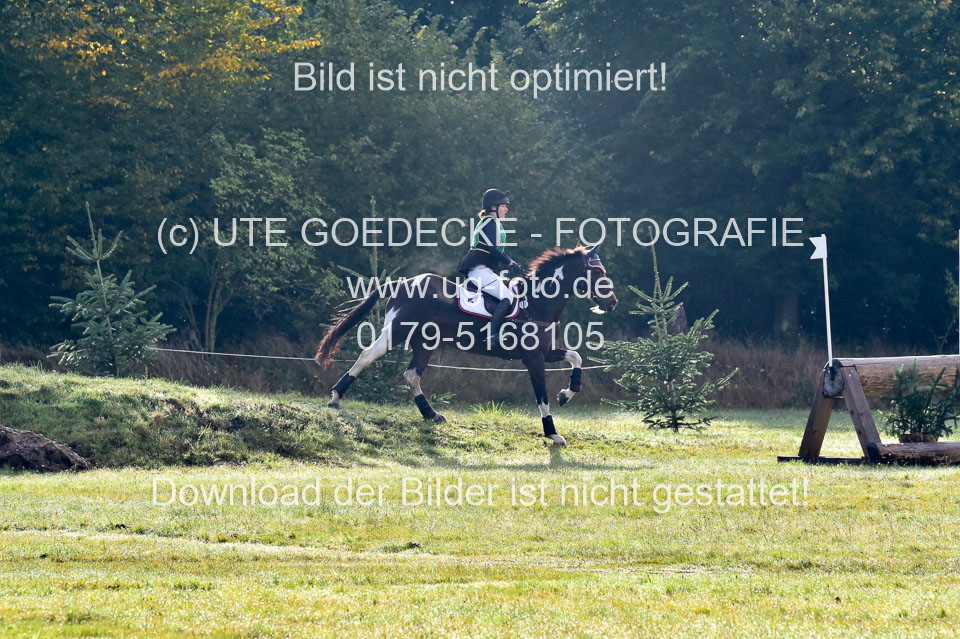 111020---Gelände-A-86.jpg