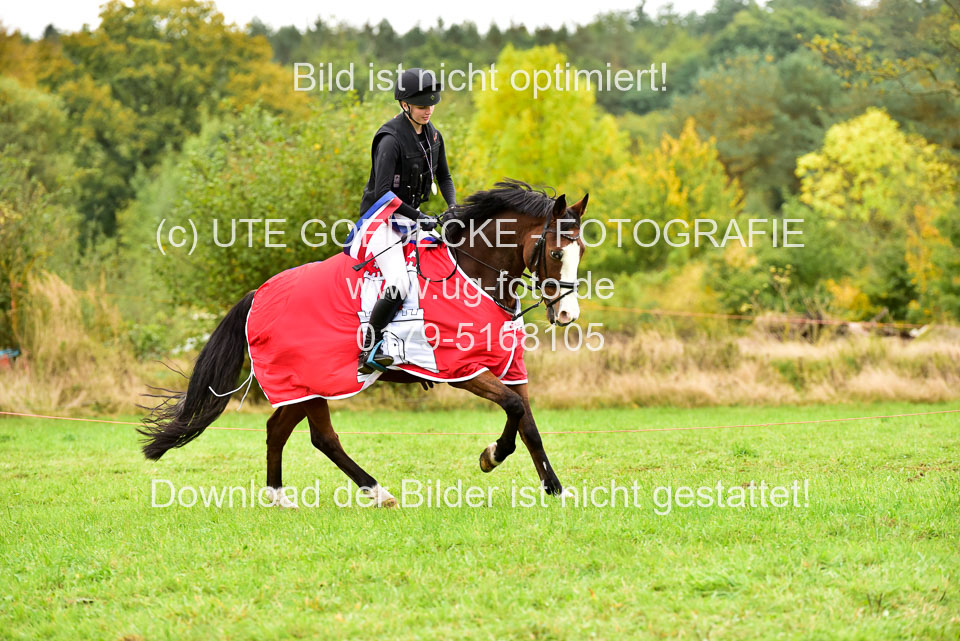 111020---Gelände-A-878.jpg