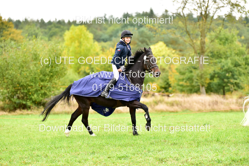 111020---Gelände-A-881.jpg